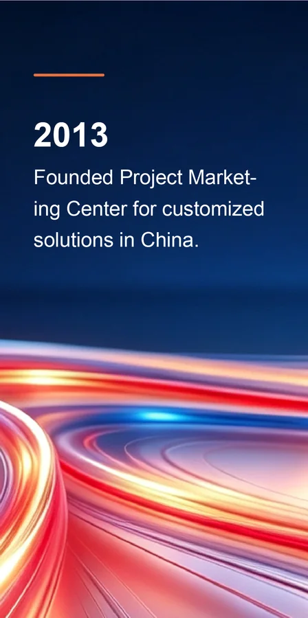 2013: Founded Project Marketing Center for customized solutions in China.